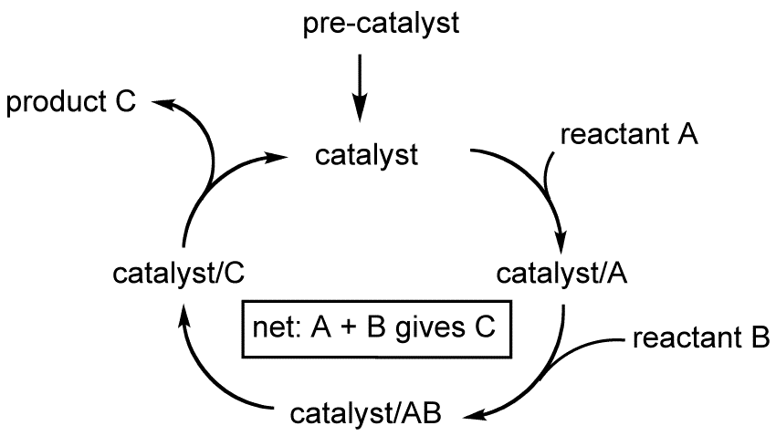 Catalytic cycle - Wikipedia