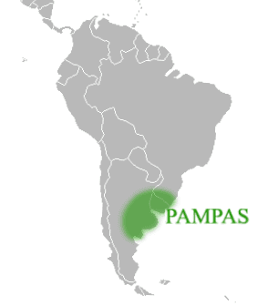 Pampa — Wikipédia