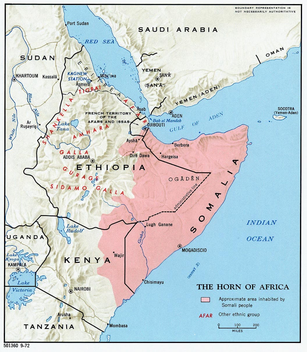 Somalis — Wikipédia