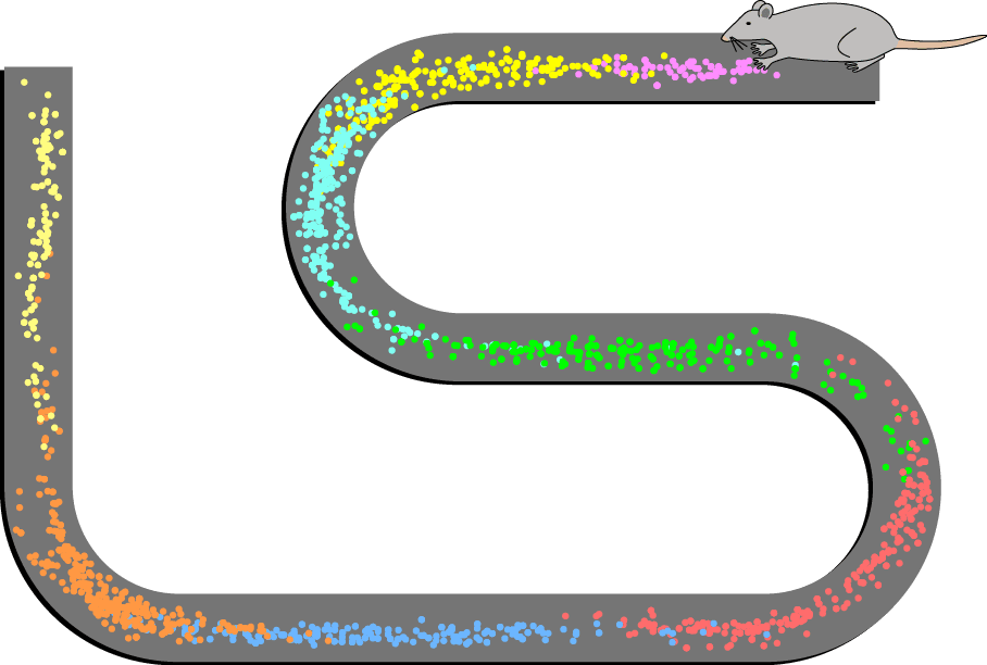 Phase precession - Wikipedia