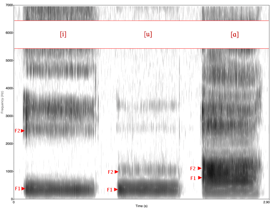 Voyelle — Wikipédia