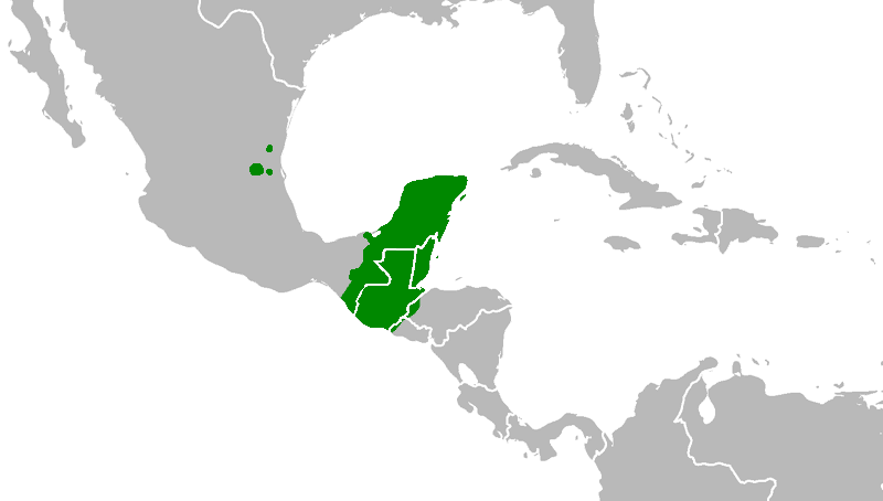 Mayan languages - Wikipedia