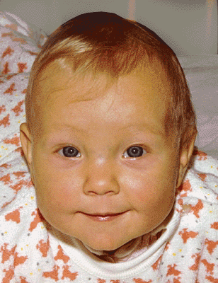 Morphing — Wikipédia