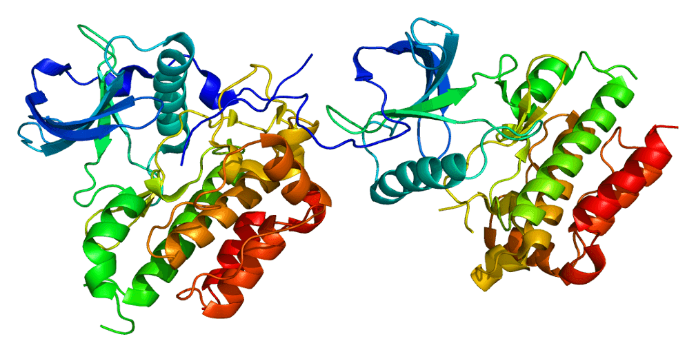 CD117 — Wikipédia