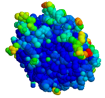 Elastase - Wikipedia