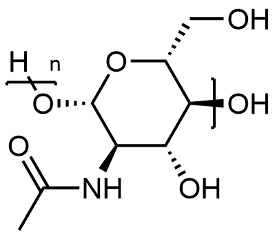 Chitine — Wikipédia