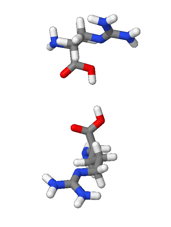 Arginine — Wikipédia