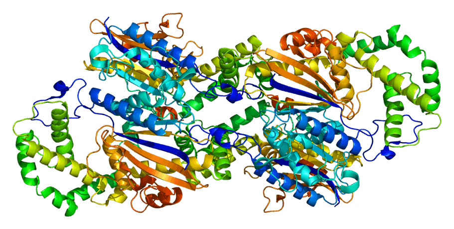 Prostatic acid phosphatase - Wikipedia