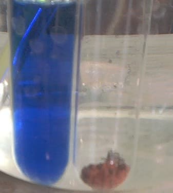 Fehling's solution - Wikipedia