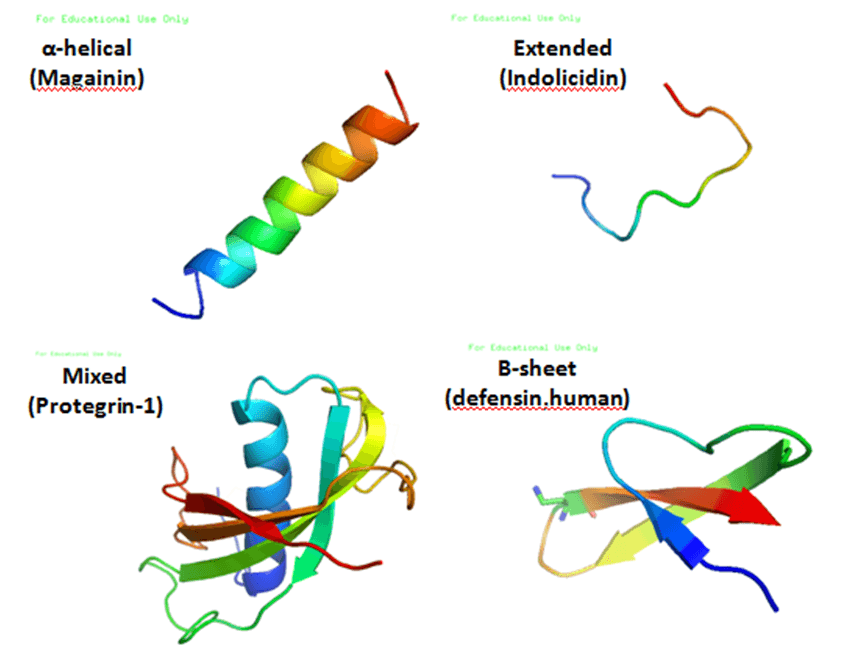 Peptide antimicrobien — Wikipédia