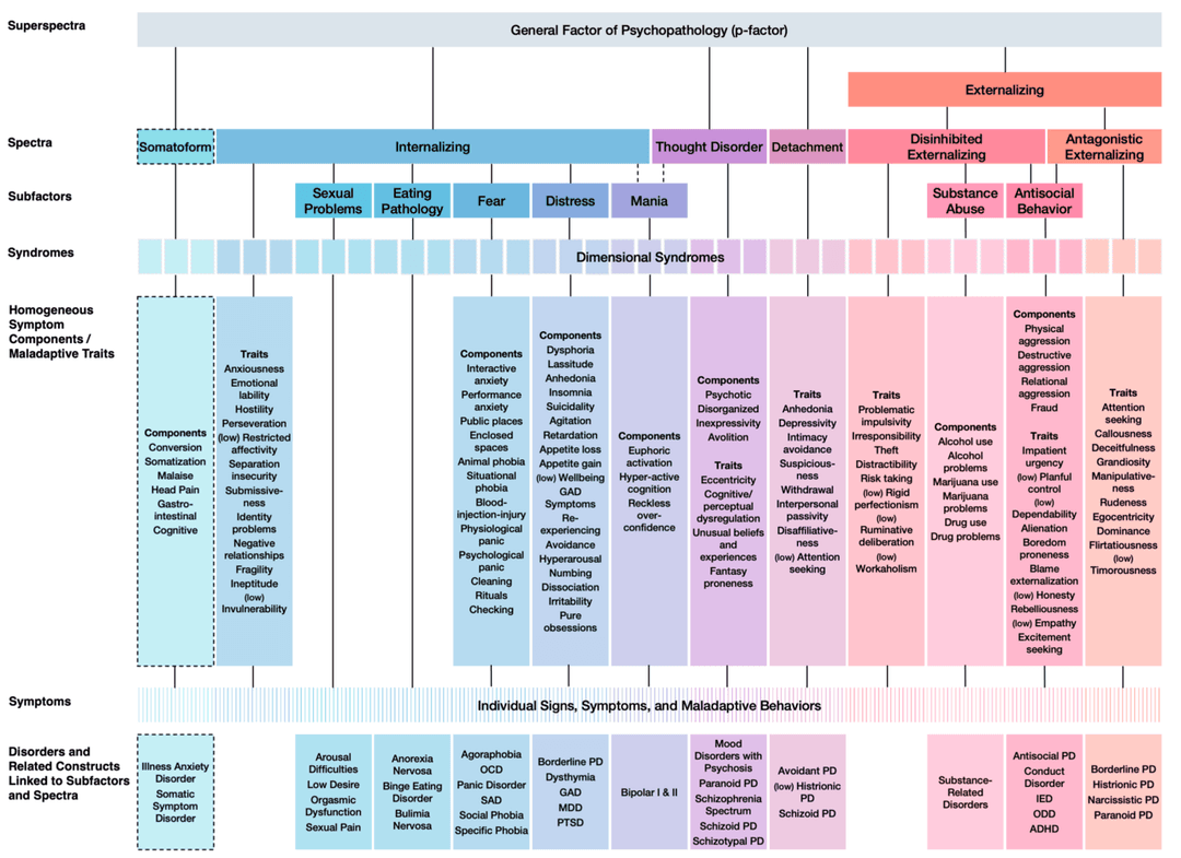 Hierarchical Taxonomy of Psychopathology - Wikipedia